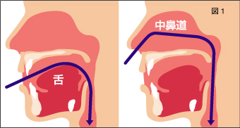 経鼻内視鏡